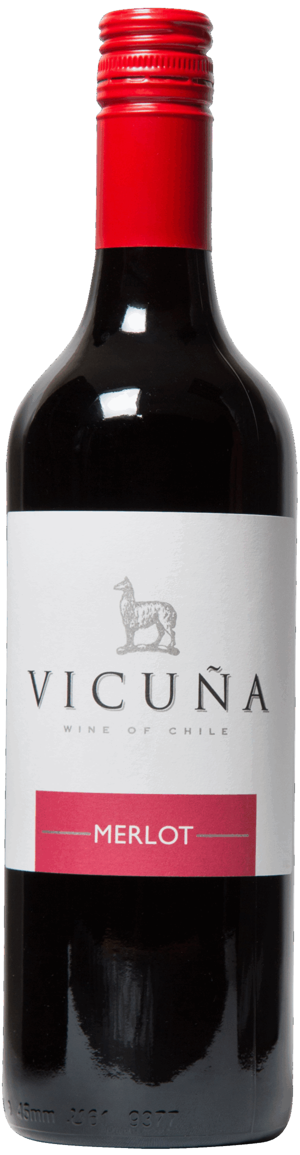 Vicuna Merlot