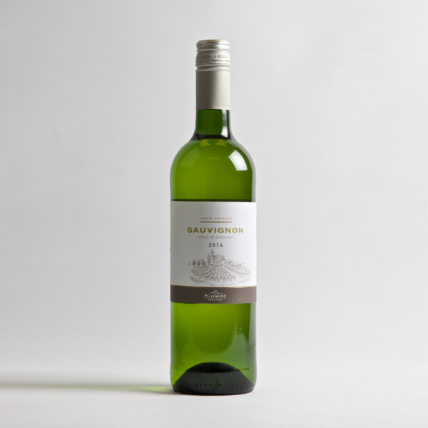 Gasgogne IGP Sauvignon